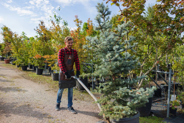 Best Tree Pruning Services  in Florence, AL